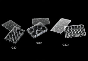 Multi Well Plate --- G201,G202,G203